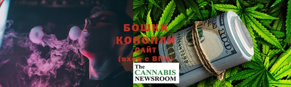 PSILOCYBIN Краснотурьинск