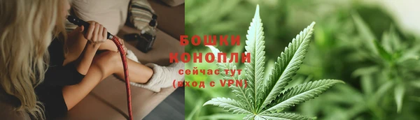 ГАЛЛЮЦИНОГЕННЫЕ ГРИБЫ Богданович