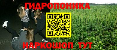 стаф Абакан