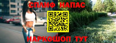 дурь Гусев