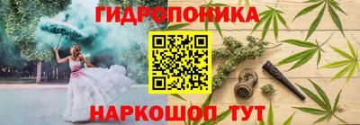 крисы Гусиноозёрск