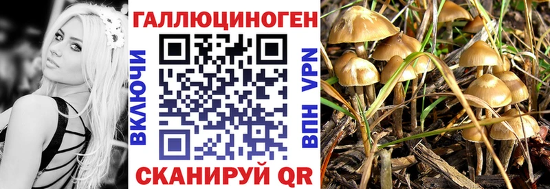 Галлюциногенные грибы Magic Shrooms  где купить наркоту  Пушкино 