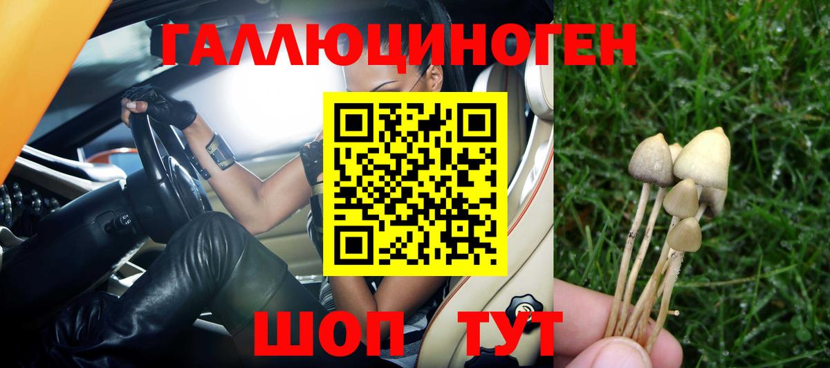 Псилоцибиновые грибы мухоморы Пушкино