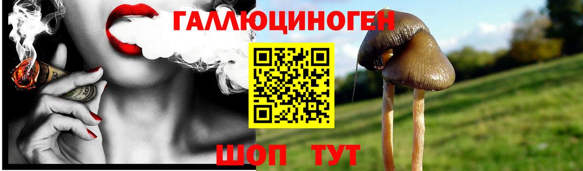 Псилоцибиновые грибы Cubensis Пушкино
